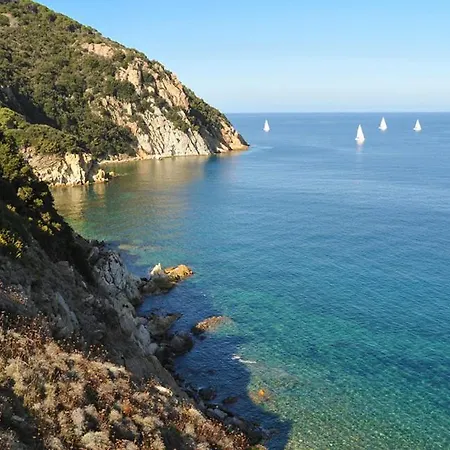 Enfola *